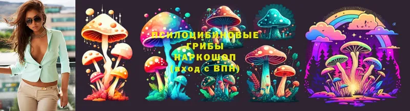 blacksprut маркетплейс  Дагестанские Огни  Псилоцибиновые грибы MAGIC MUSHROOMS 